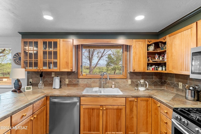 kitchen featuring decorative backsplash, a wealth of natural light, sink, and appliances with stainless steel finishes