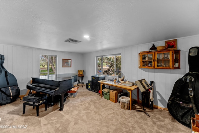 miscellaneous room with wood walls, light colored carpet, and a textured ceiling