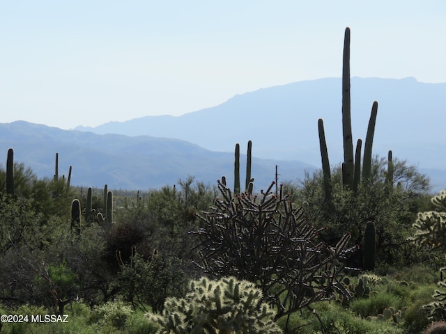 view of mountain feature