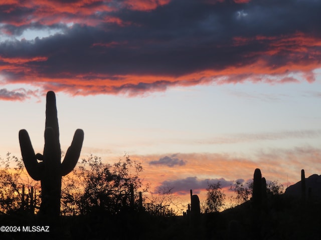 view of nature at dusk