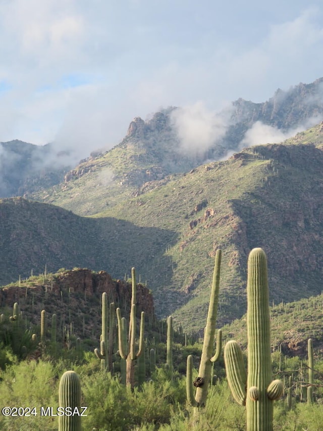 view of mountain feature