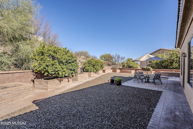 view of yard featuring a patio area