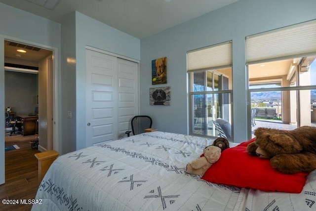 bedroom featuring a closet and wood-type flooring