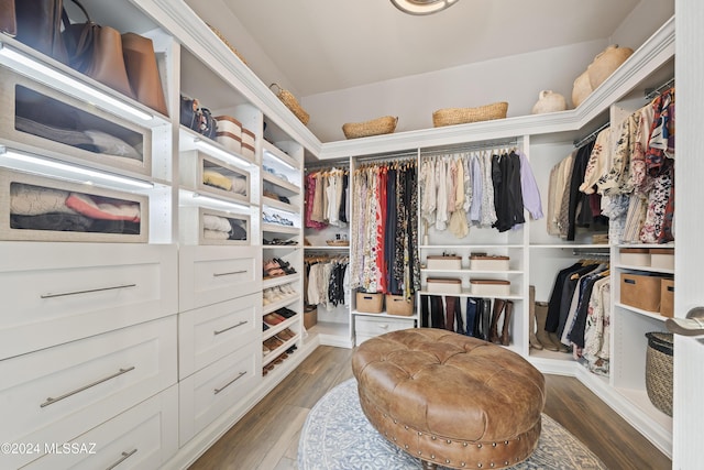 walk in closet featuring dark wood-type flooring