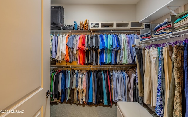 spacious closet featuring carpet flooring