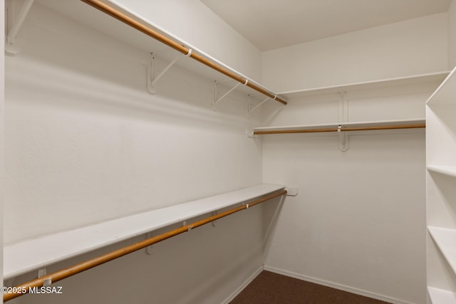 walk in closet featuring dark colored carpet