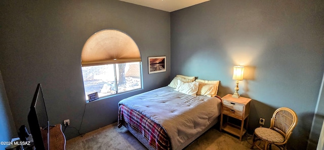 bedroom with carpet floors