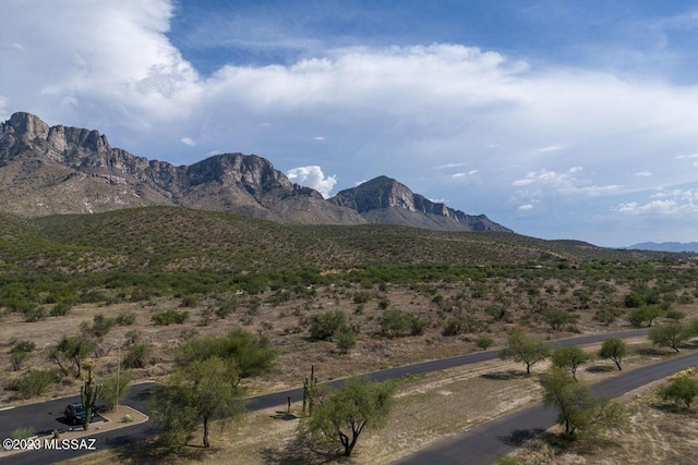 view of mountain feature