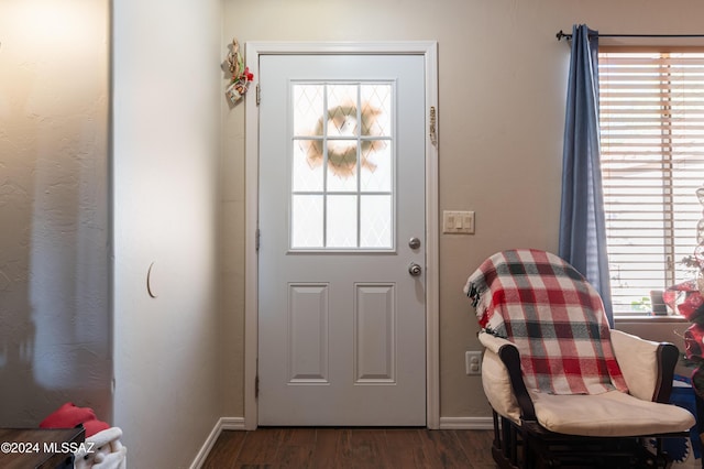 doorway to outside featuring dark wood-type flooring and a healthy amount of sunlight