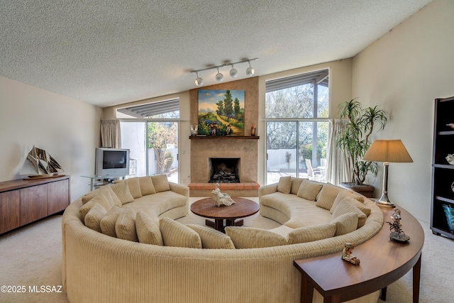 living room featuring light carpet, a fireplace, and plenty of natural light