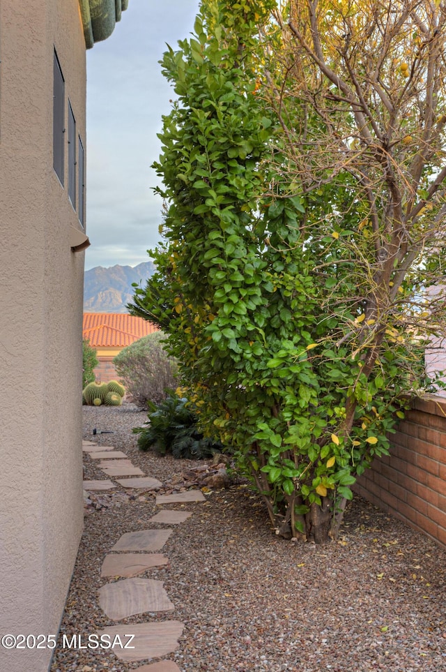 view of yard featuring a mountain view