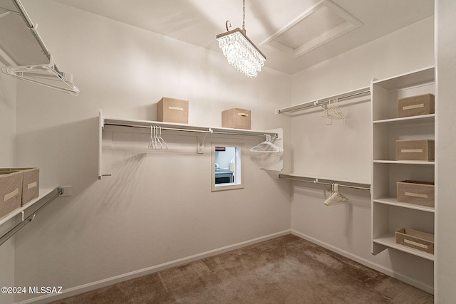 walk in closet with a chandelier and carpet floors