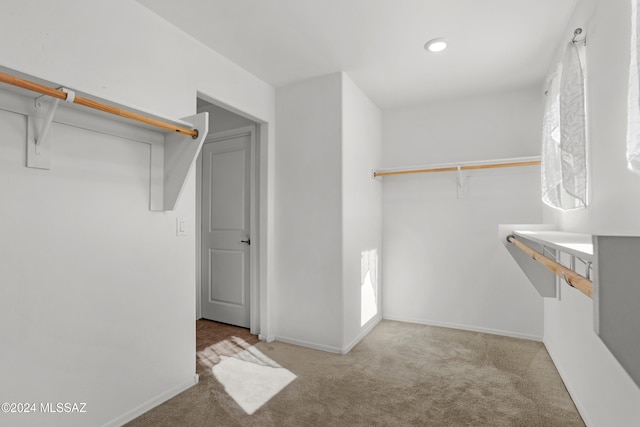 spacious closet featuring light colored carpet