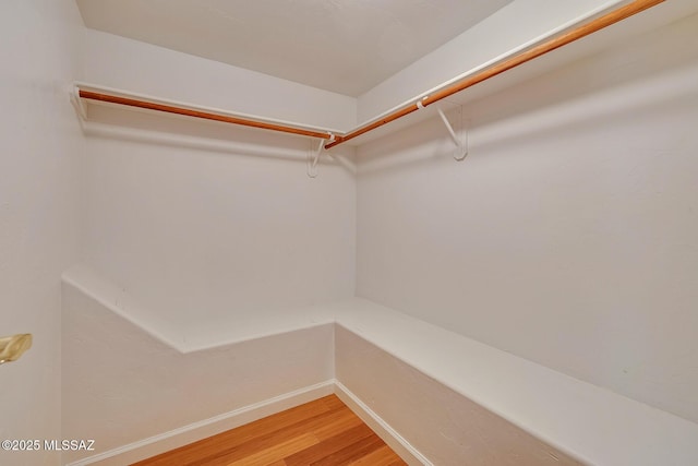 walk in closet with hardwood / wood-style flooring