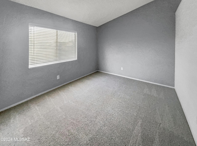 empty room featuring carpet and a textured ceiling