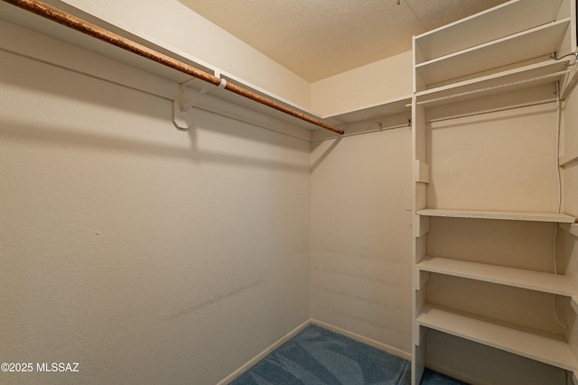 spacious closet featuring carpet flooring