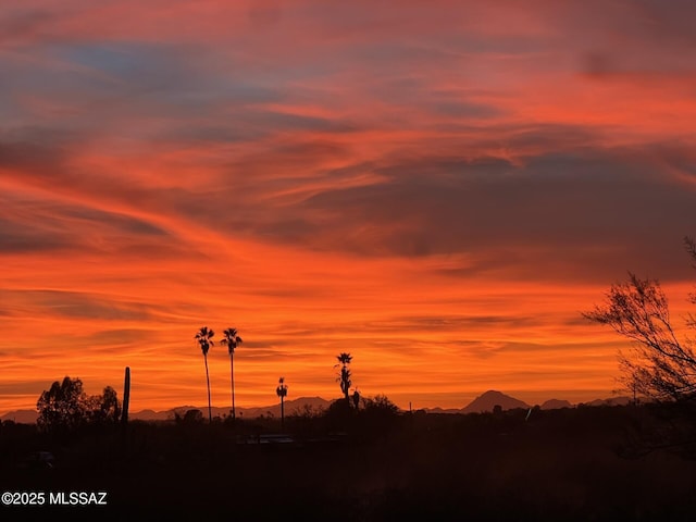 view of nature at dusk