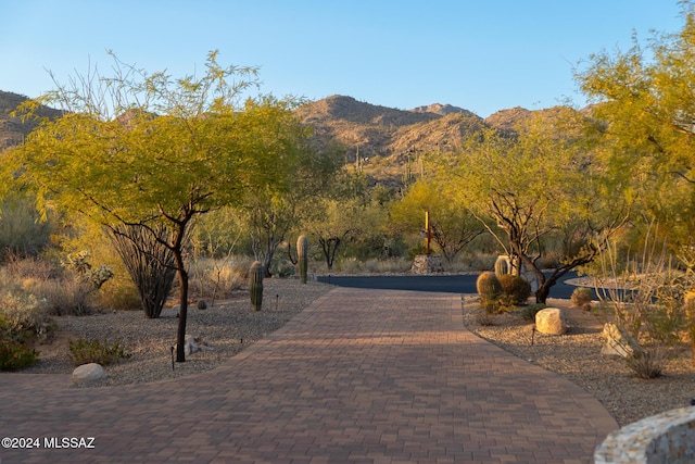 view of mountain feature