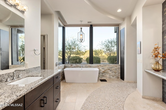 bathroom featuring vanity, a wealth of natural light, and a bathing tub