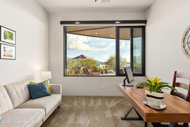 view of carpeted home office