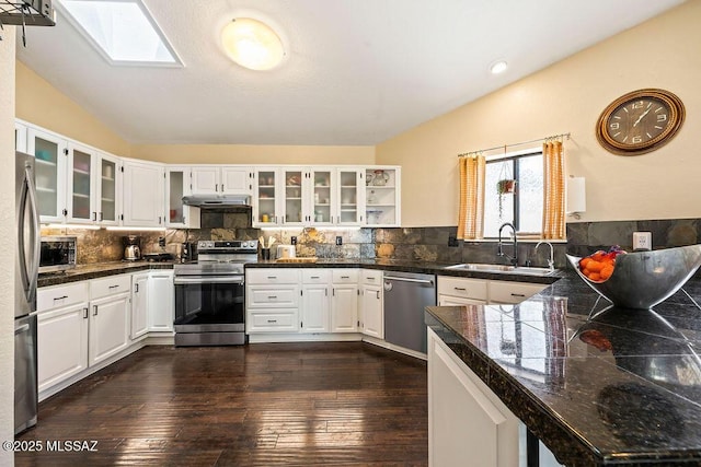 kitchen with tile counters, vaulted ceiling with skylight, under cabinet range hood, stainless steel appliances, and a sink