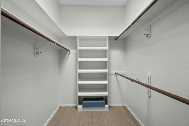 walk in closet with light colored carpet