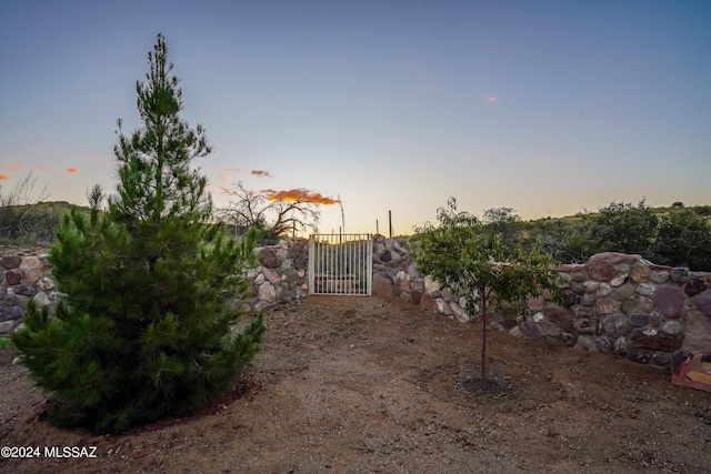 view of yard at dusk