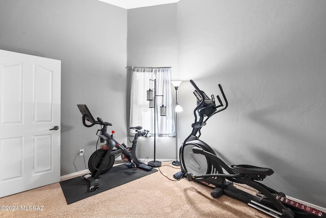 workout area featuring carpet flooring