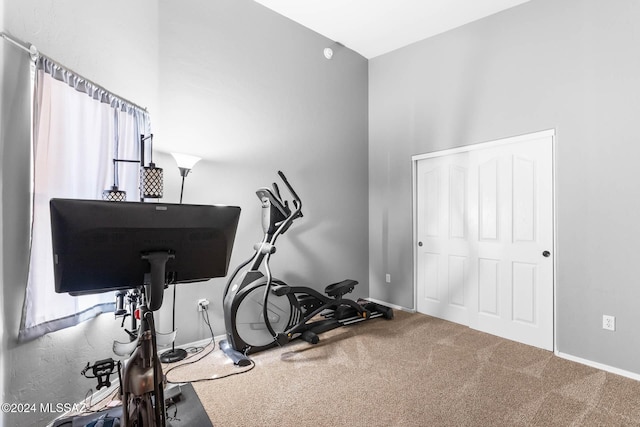 exercise room featuring carpet