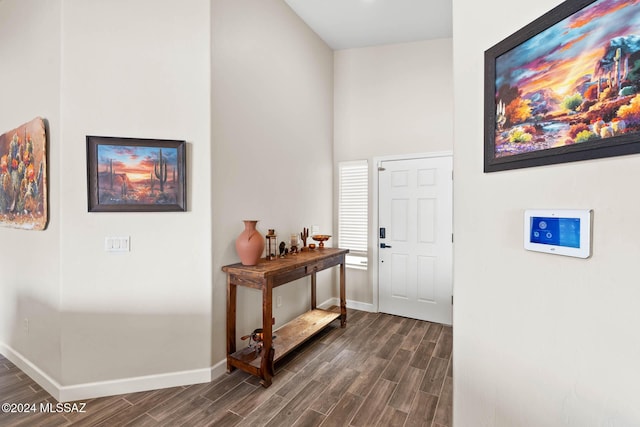 entrance foyer featuring dark hardwood / wood-style floors