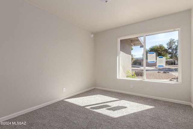 carpeted spare room with plenty of natural light