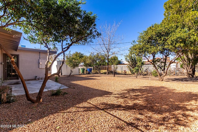 view of yard with a patio area