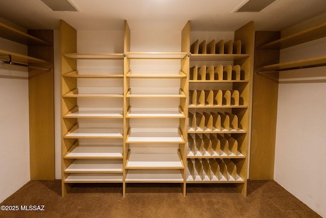 spacious closet with carpet floors