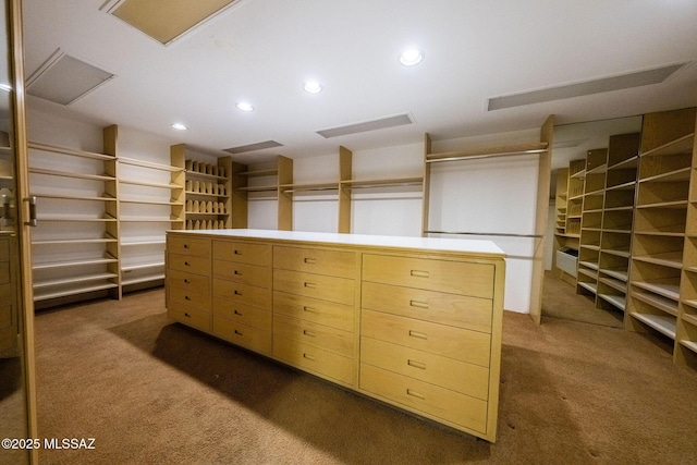 walk in closet featuring dark colored carpet