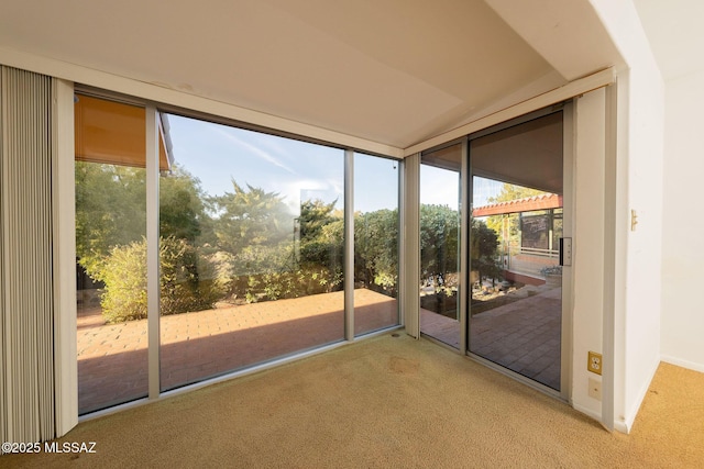 doorway to outside featuring a healthy amount of sunlight and light colored carpet