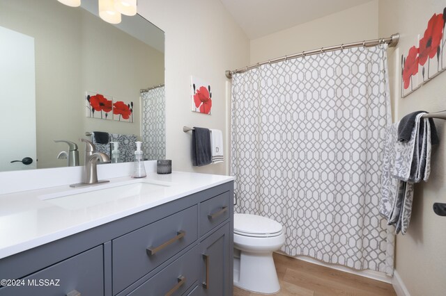 bathroom featuring hardwood / wood-style flooring, vanity, and toilet