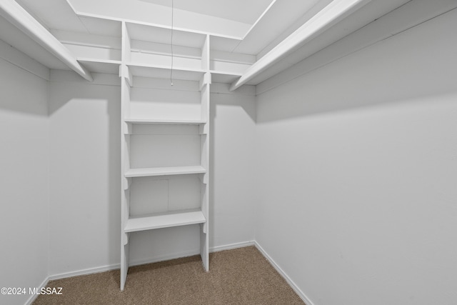 spacious closet with carpet flooring