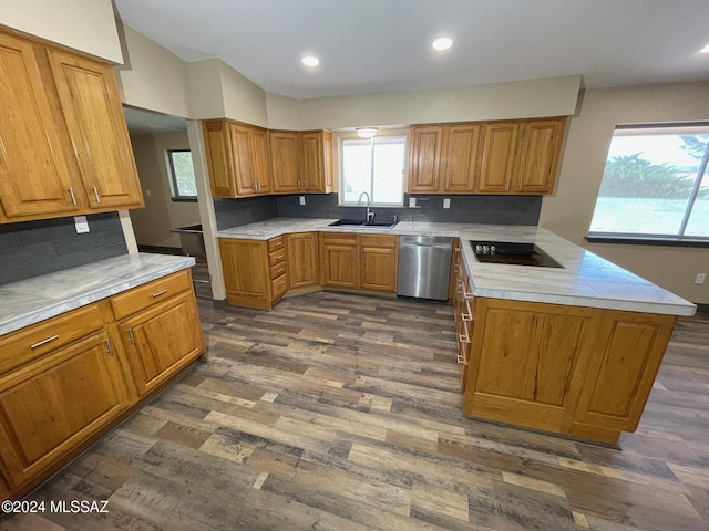 kitchen featuring backsplash, black electric cooktop, dark wood-type flooring, sink, and dishwasher