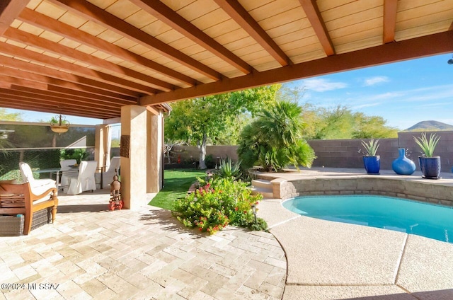 view of pool featuring a patio and exterior kitchen