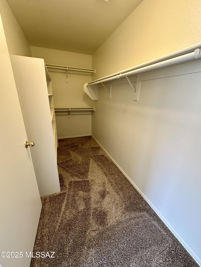 spacious closet with carpet