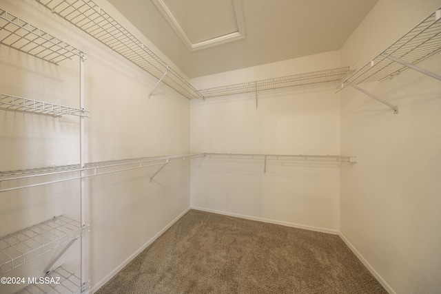 walk in closet with carpet