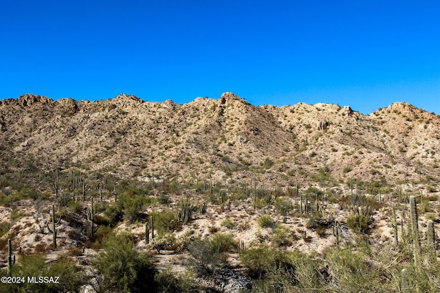 Alley Rd Unit 002, Ajo AZ, 85321 land for sale