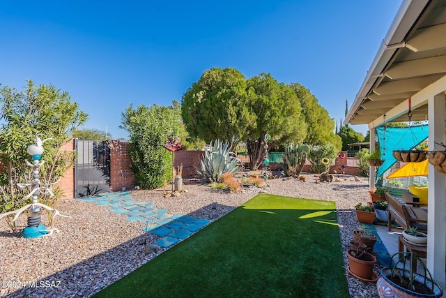 view of yard featuring a patio