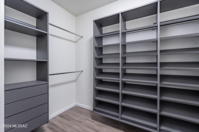 walk in closet featuring dark wood-type flooring