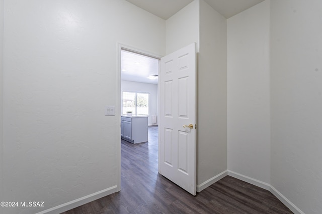 hallway featuring dark wood-type flooring