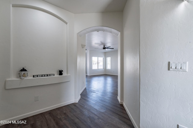 corridor with dark wood-type flooring