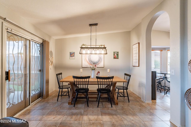 dining room featuring lofted ceiling