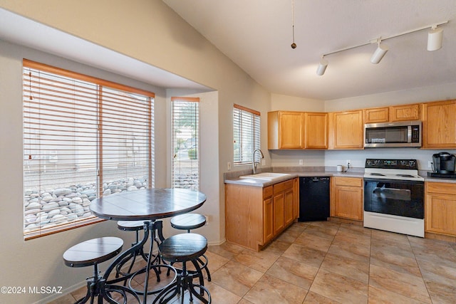 kitchen featuring rail lighting, dishwasher, electric stove, and sink