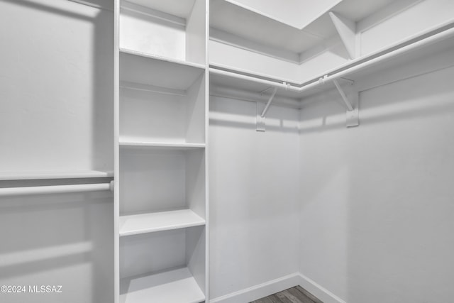 spacious closet with wood-type flooring