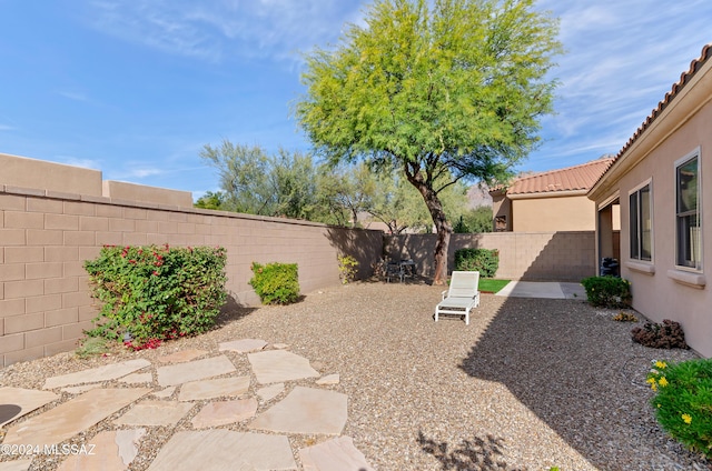 view of yard with a patio area